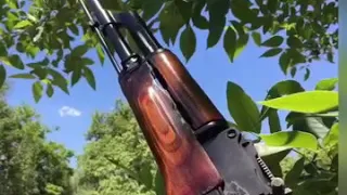 አንጀት የሚበላ ቅራርቶ ሽለላ Shilella 