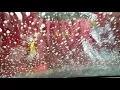 Rocket Wash - Midlothian