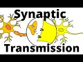 Synaptic Transmission - Neurotransmission explained