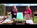 How to Protect Plants from Frost