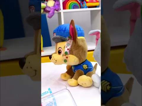 Curita con figuritas para Chase