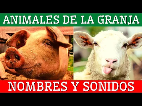 Download MP3 🌾Los ANIMALES DE LA GRANJA para niños/Aprende los animales y sus sonidos🐷🐴🦆
