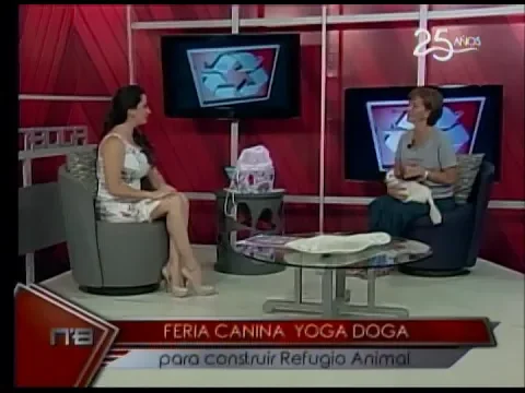 Feria Canina Yoga Doga para construir refugio animal