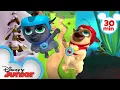 Bingo Rolly Travel Around the Globe 30 Minute Compilation Puppy Dog Pals Disney Junior