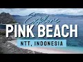 Exploring Pink Beach Komodo A Paradise of Pink Sands Crystal Waters