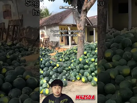 Viral! Pria Ini Memiliki Kebun Semangka Didepan Rumah! #m4zsda #shortvideos #shorts #reaction