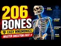 How I Memorized the Entire Human Skeleton in 7 Minutes Fast