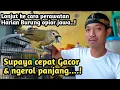 Download Lagu CARA PERAWATAN HARIAN BURUNG OPIOR JAWA SUPAYA CEPAT GACOR DAN NGEROLL PANJANG