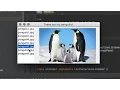 Java - JList and Displaying Images