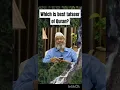 Lagu Which is best tafseer of Quran#drzakirnaik#islamicshorts#tafseer#bayan#ahadees #quran