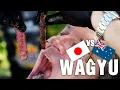 Comparing Wagyu Beef - Japanese A5 vs Australian MS Filet