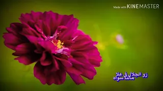 حالات واتس اب دينيه اناشيد اسلاميه ماهر زين غايتي رضاك مقاطع انستقرام قصيره 2019 