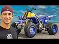What To Look For When Buying A Banshee
