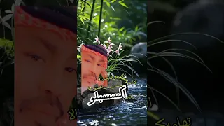 التهامي مايحب الا تهامه اكسسبلور الشدوي 