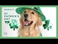 ST PATRICK S DAY - March 17th