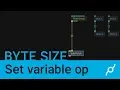 Set variable op tutorial - byte size