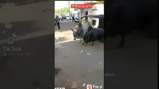 العجول ركبت توكتك وهربت من الدبح اول يوم العيد حالآ 