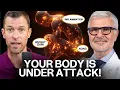 This Is What s REALLY Causing Inflammation And How to Fix It DrGundry