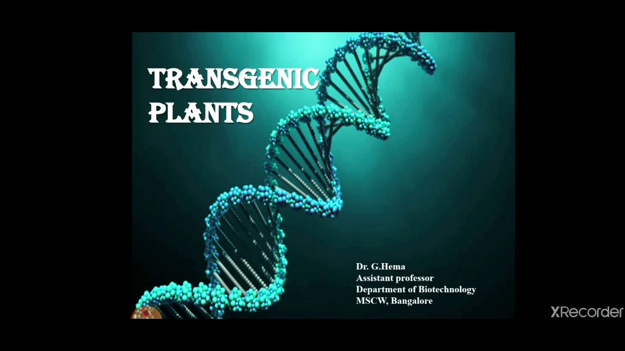 Methods of plant transformation