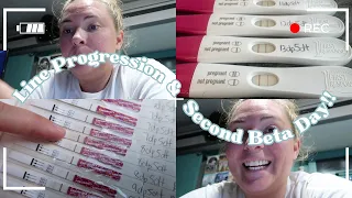 Line Progression Second Beta Day First Response Pregmate