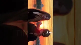 جمال تينا وسيندي تيم تين كيتي اريل ايفا تينا كيسي نيت تايلر كريس زاك دوني اليس ميا جوين كريستي 