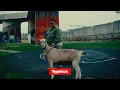 Download Lagu DIKKE - AH OK (prod. PICVSSO \u0026 DIKKE)