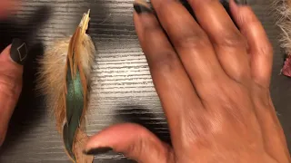feathers