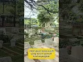 Download Lagu Hikmah Ziarah kubur #shorts #ziarah #makam #pahala #budaya