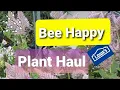 Shop With Me To See Lowes Clearance Butterfly Bush and Beautiful Bees Plant Haul Pt 1