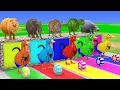 Download Lagu Long Slide Game With Cow Elephant Gorilla Hippopotamus Tiger 3d Animal Game Funny 3d Animals