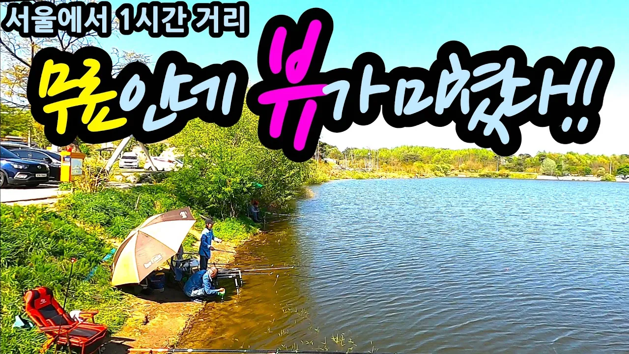 서울에서 1시간 거리 무료인데 뷰가 미쳤다!! 조용한 저수지 뷰와 감성 노을 힐링 끝인 숨은 명소! 무료 노지캠핑 차박지 캠핑 차박 썸네일