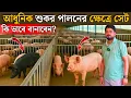 Download Lagu কিভাবে আধুনিক মানের শুকর এর সেট বানাবেন?
