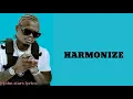 Harmonize mtaje (official video lyrics)