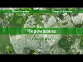 Пісні України.Черемшина(1965 рік).Співає Дмитро Гнатюк.Songs of Ukraine.Chtrry tree.Vita_St