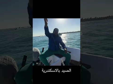 صيد السمك من مراكب الاسكندرية