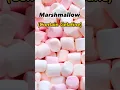 Download Lagu Haram Foods in Islam 🕋❤️ #religion #islamic #haram #viralshort #islamicvideo #knowledge #food #info