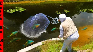 We Found COLORFUL EXOTIC FISH in a GAS STATION Run OFF Ditch!