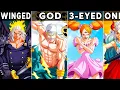 Every Race In One Piece Explained