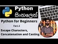 Concatenation Escape Characters and Casting - Python for Beginners Sinhala