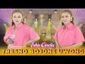 Download Lagu Intan Chacha - Tresno Bojone Uwong | Duta Nirwana Music [OFFICIAL]