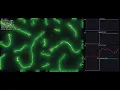 Slime Mold - Simulation