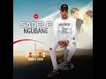Sanele Ngubane Savumela Izitha Official Audio 