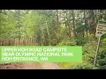 Upper Hoh Road - Campsite Review