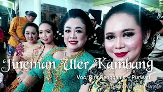 Download Jineman Uler Kambang, Kendang Semarang (Voc: Ririt Rengganis-Purwati) MP3