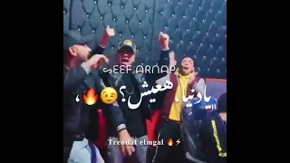 قاعده رايقه حربوني بحكومه احمد موزه مصطفي الجن هادي الصغير مهرجان حالات ستوريات شعبي 