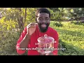 🌿 3 Powerful Herbal Teas to Detox Your Liver, Kidneys & Blood Naturally | Cleansing for Total Body