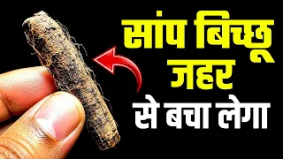घास फूस समझकर फेंकना मत.. लाभ जानोगे तो होश उड़ जायेगा😱