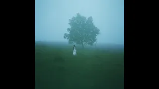 ichiko aoba asleep among endives 