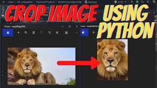how to crop a image using python python pillow tutorial
