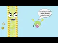 Facilitated Diffusion Explained